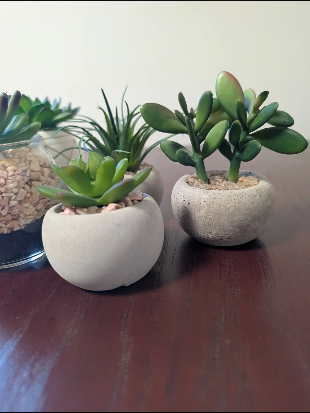 Modern Faux Green Succulent Arrangement in Neutral Planters - Home Accents